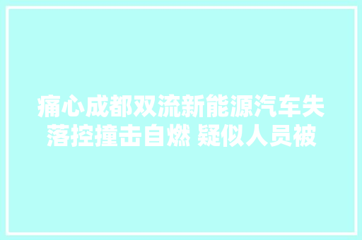 痛心成都双流新能源汽车失落控撞击自燃 疑似人员被困 网友祝福安然