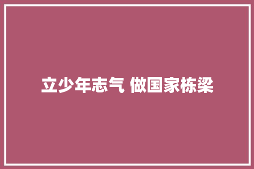立少年志气 做国家栋梁
