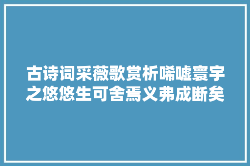 古诗词采薇歌赏析唏嘘寰宇之悠悠生可舍焉义弗成断矣