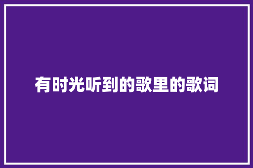 有时光听到的歌里的歌词