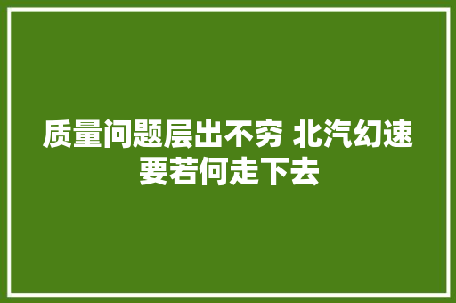 质量问题层出不穷 北汽幻速要若何走下去