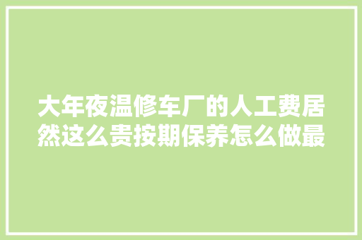 大年夜温修车厂的人工费居然这么贵按期保养怎么做最省钱