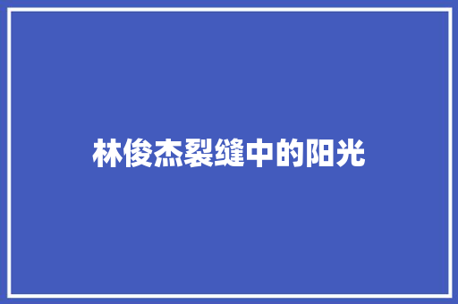 林俊杰裂缝中的阳光