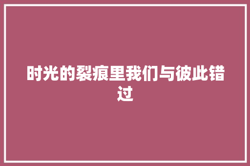 时光的裂痕里我们与彼此错过