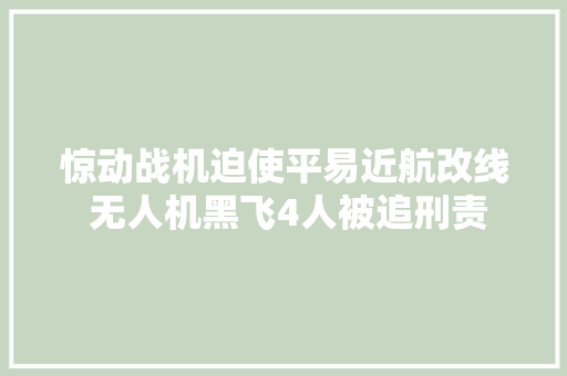 惊动战机迫使平易近航改线 无人机黑飞4人被追刑责