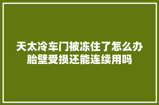 天太冷车门被冻住了怎么办胎壁受损还能连续用吗