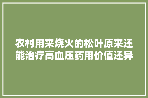 农村用来烧火的松叶原来还能治疗高血压药用价值还异常高