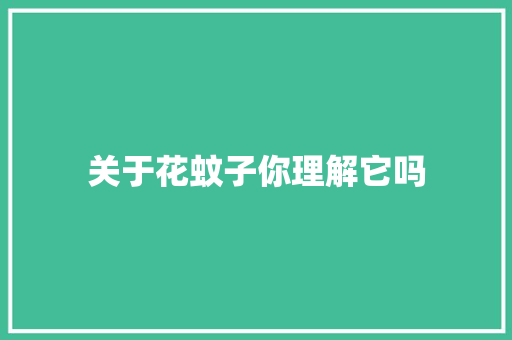 关于花蚊子你理解它吗