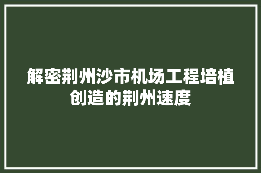 解密荆州沙市机场工程培植创造的荆州速度
