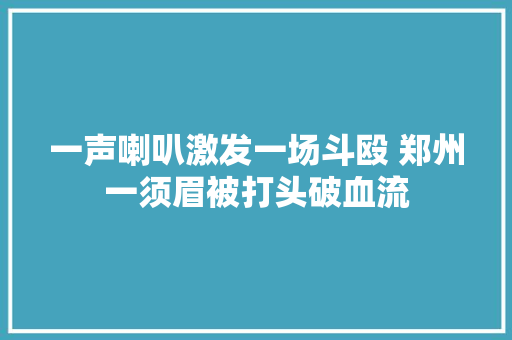 一声喇叭激发一场斗殴 郑州一须眉被打头破血流