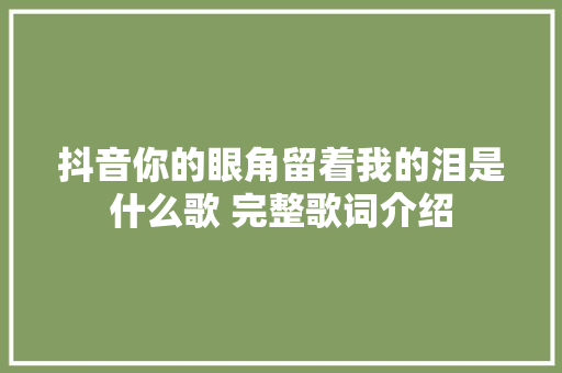 抖音你的眼角留着我的泪是什么歌 完整歌词介绍 休闲娱乐