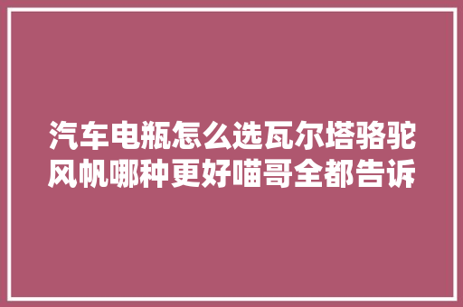 汽车电瓶怎么选瓦尔塔骆驼风帆哪种更好喵哥全都告诉你