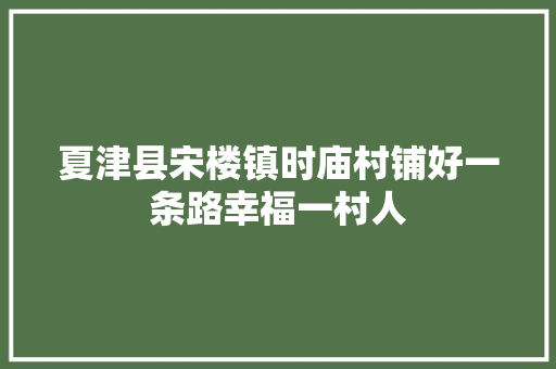 夏津县宋楼镇时庙村铺好一条路幸福一村人