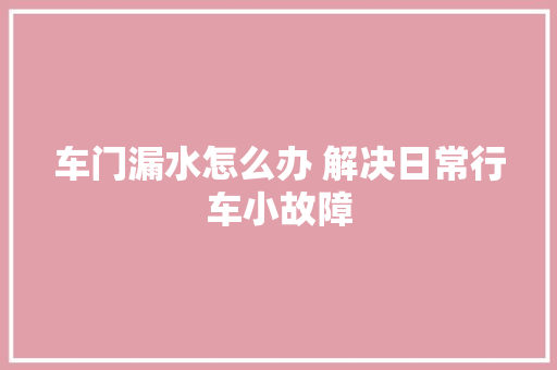 车门漏水怎么办 解决日常行车小故障 汽车知识