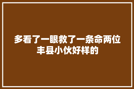 多看了一眼救了一条命两位丰县小伙好样的