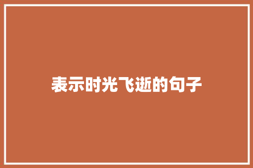 表示时光飞逝的句子