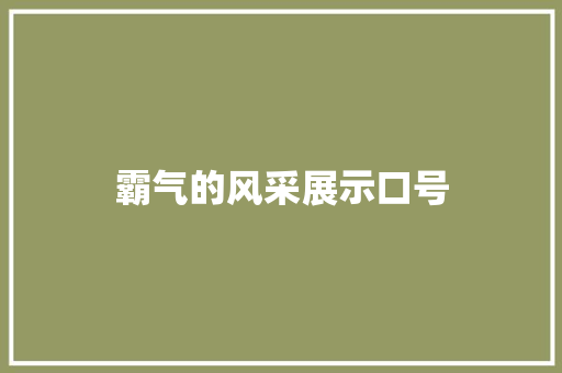 霸气的风采展示口号
