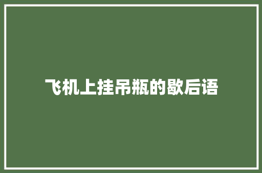 飞机上挂吊瓶的歇后语