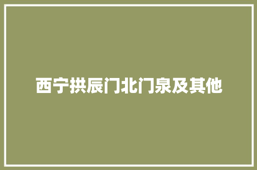 西宁拱辰门北门泉及其他