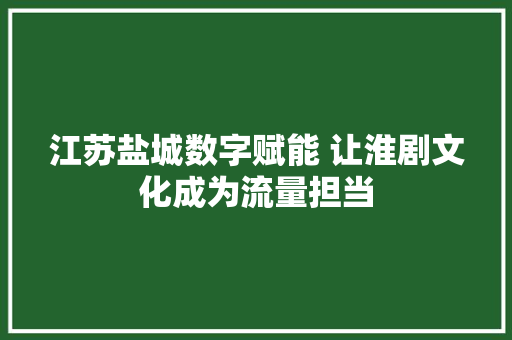 江苏盐城数字赋能 让淮剧文化成为流量担当