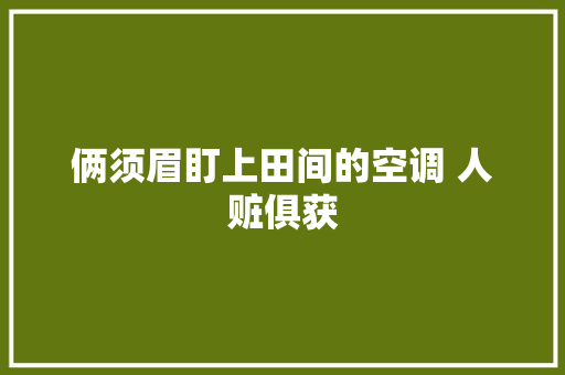 俩须眉盯上田间的空调 人赃俱获