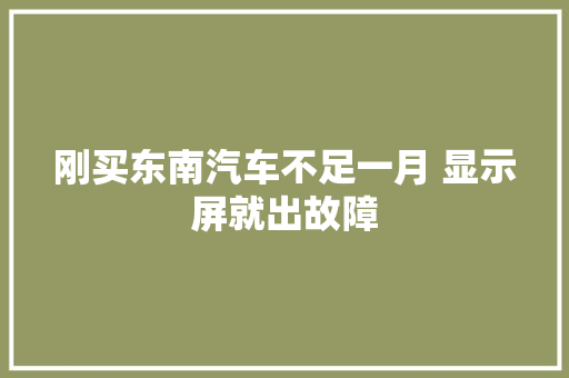 刚买东南汽车不足一月 显示屏就出故障