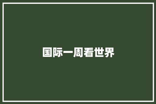 国际一周看世界