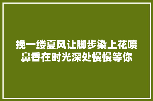 挽一缕夏风让脚步染上花喷鼻香在时光深处慢慢等你