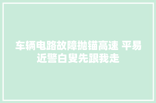 车辆电路故障抛锚高速 平易近警白叟先跟我走