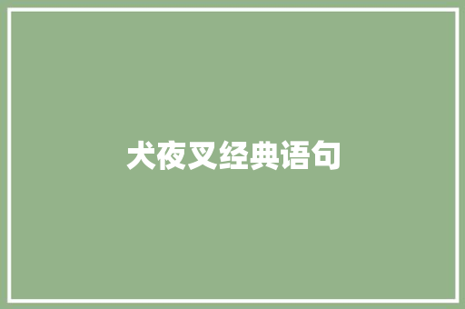 犬夜叉经典语句