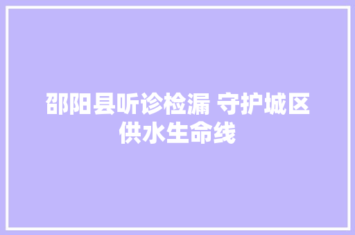 邵阳县听诊检漏 守护城区供水生命线