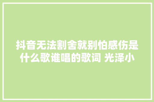 抖音无法割舍就别怕感伤是什么歌谁唱的歌词 光泽小我资料 休闲娱乐