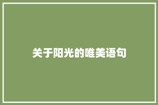 关于阳光的唯美语句