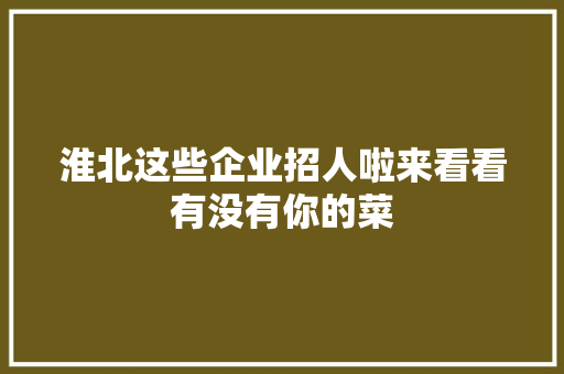 淮北这些企业招人啦来看看有没有你的菜
