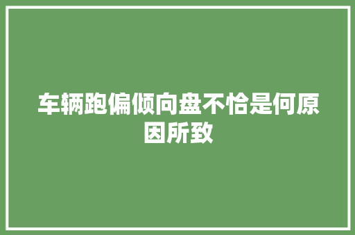 车辆跑偏倾向盘不恰是何原因所致