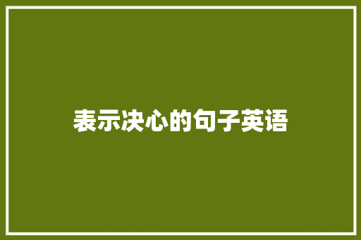 表示决心的句子英语