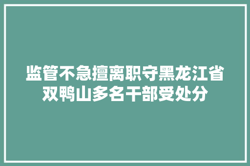 监管不急擅离职守黑龙江省双鸭山多名干部受处分