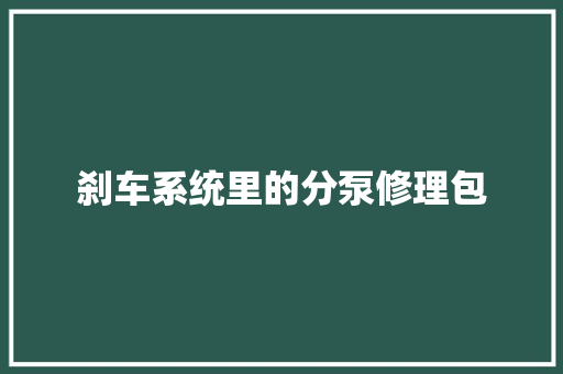 刹车系统里的分泵修理包
