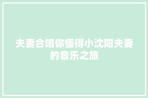 夫妻合唱你懂得小沈阳夫妻的音乐之旅