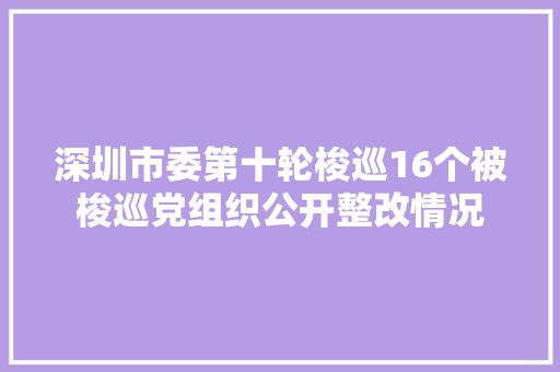 深圳市委第十轮梭巡16个被梭巡党组织公开整改情况