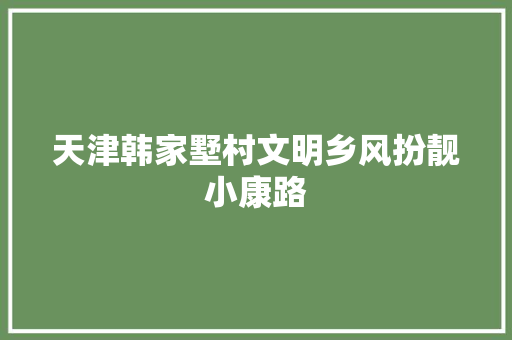 天津韩家墅村文明乡风扮靓小康路