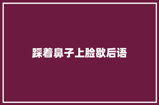 踩着鼻子上脸歇后语