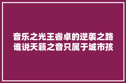 音乐之光王睿卓的逆袭之路谁说天籁之音只属于城市孩子