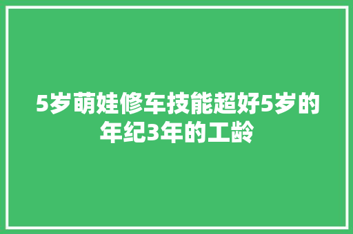 5岁萌娃修车技能超好5岁的年纪3年的工龄