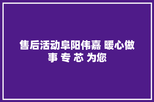 售后活动阜阳伟嘉 暖心做事 专 芯 为您