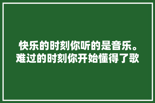快乐的时刻你听的是音乐。难过的时刻你开始懂得了歌词。