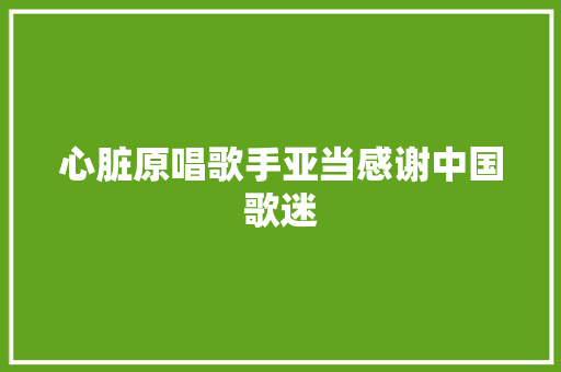 心脏原唱歌手亚当感谢中国歌迷