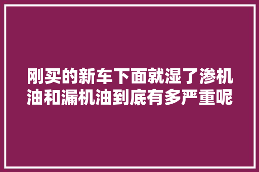 刚买的新车下面就湿了渗机油和漏机油到底有多严重呢
