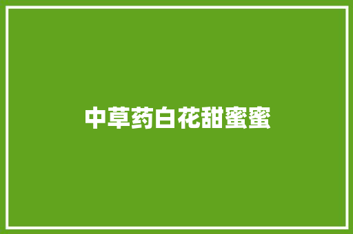 中草药白花甜蜜蜜