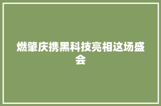 燃肇庆携黑科技亮相这场盛会